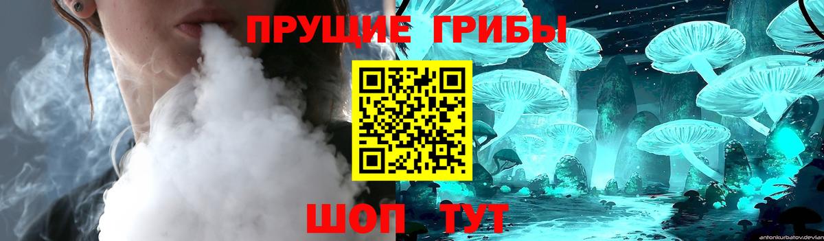 Галлюциногенные грибы Psilocybine cubensis Ростов-на-Дону